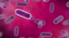 Клетка - генетична единица на живот