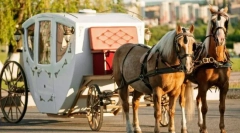 Пътнически коне