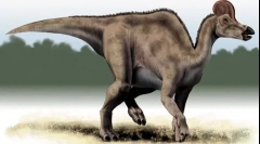 Корофосавр