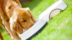 Purina pro планиране на кучетата: премиум клас готов