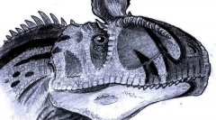 Cryoloposaur