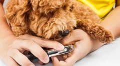 Нокти и розови за нокти