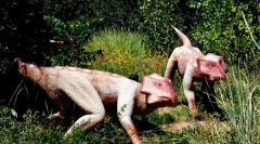 Leptaceratops