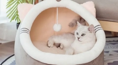 Лена за котки