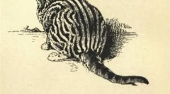 Лице на марката hastkas и други звезди рекламни реклами