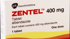 Най-добрите таблетки от червеи