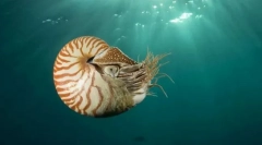 Малакология