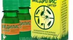 Medilis cup и използването му от насекоми