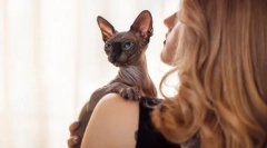 Cutie или осолена: като появата на котката, за да се определи характера