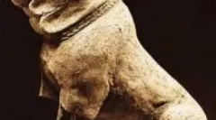 Молеса - кои са: преглед на породата на кучета