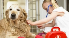 Първо спешно