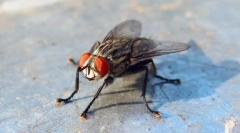 Спалните са опасни?