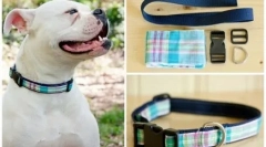 Куче яка със собствените си ръце: проста инструкция