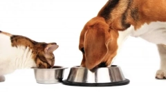 Характеристики на класа на клас холистичен