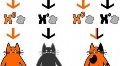 Петнисти котки