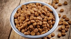 Плюсове и минуси на сухота