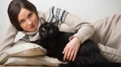 Защо самотни жени развъждат котки