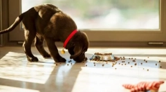 Закърпване от земята