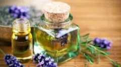 Популярни масла от въшки и gid