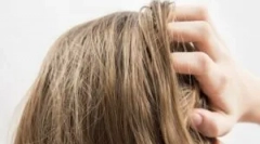 Ред на прилагане на nuduch facte на last и gdid