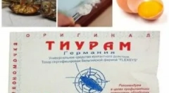 Тирам прах от хлебарки