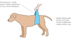 Загуба на съзнание