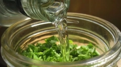 Правила за използване на тинктура и скаларна пелин