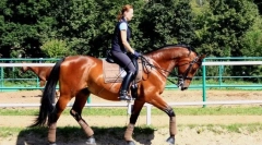 Инструкции за безопасност на ездата