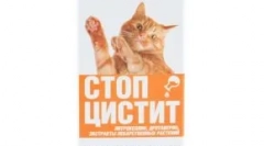 Лечение спиране цистит за котки: ефективно лекарство за възпалителни заболявания на пикочния мехур и бъбреците