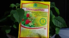 Подготовка тридерхин и инструкции за неговото използване