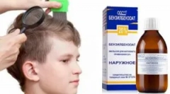 Използването на бензилбензоат от въшки и ном