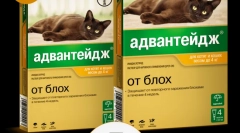 Прилагане на лекарственото предимство (advanda) за котки