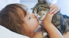 Предотвратяване на котки, предавани от котките