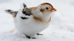 Удар
