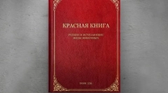 Редки птици евразия