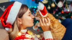 Щастлива нова година, котка! 14 новогодишни идеи за подаръци за котки
