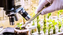 Подбор, неговите задачи, методи и практическо значение