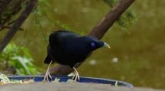 Пясъчен сатен