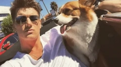 Какъв вид порода завладее сърцето на алексей воробиев?