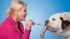 Куче с най-дългия език в света