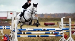 Атлети, художници, спасители