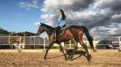 Методи за движение на конете