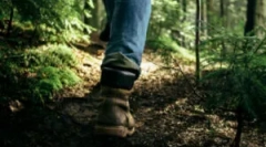 Механизми за местообитания