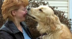 Топ 10 на най-смелите животни