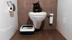 Котешки тоалетни затворени: изберете комфорт за животно и почистване за дома