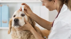 Грижа за очите