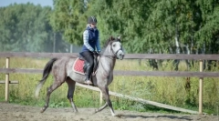 Уроци по конна езда за начинаещи