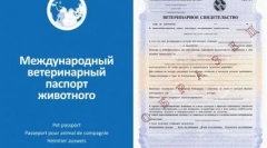 На пътя с куче: най-добрите породи за пътуване