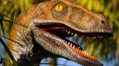 Velocireaptor