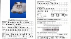 Ветеринарен паспорт за котка: нюанси за дизайн на документи